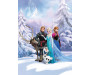 Fototapeta Frozen, Ledové království 4-498