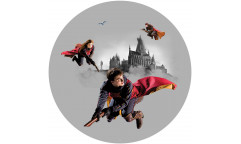 Samolepicí vliesová fototapeta Harry Potter CRD 5807-411