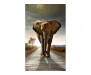 Vliesová fototapeta Kráčející slon 0225