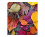 Vliesová fototapeta Podzimní listí 0112