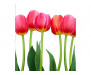 Vliesová fototapeta Tulipány 0126