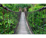 Vliesová fototapeta Most v lese 0084