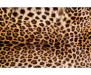 Vliesová fototapeta Leopardí kůže 0184