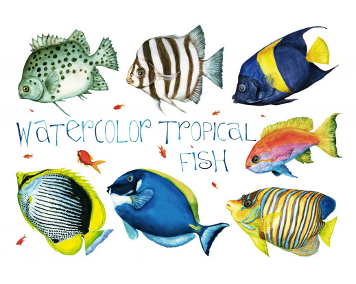 Vliesová fototapeta Tropical Fishes 0391