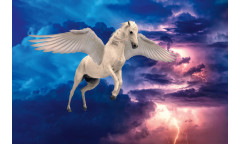 Vliesová fototapeta Legendary Pegasus 1245