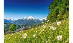 Vliesová fototapeta Alpine Landscape 1302