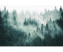 Vliesová fototapeta Foggy Forest 1863