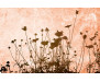 Vliesová fototapeta Flower Abstract Texture 2008