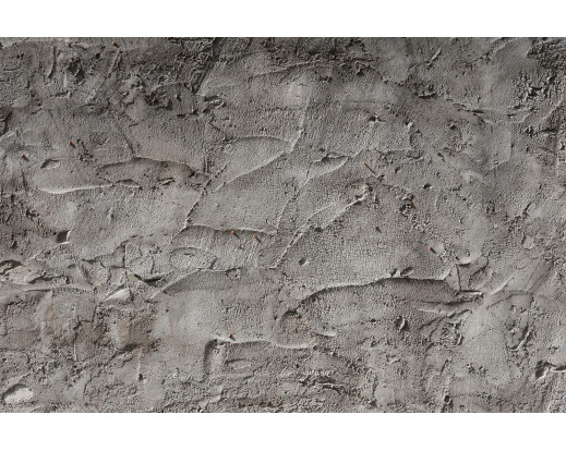 Vliesová fototapeta Texture of Concrete Gray Wall 2426