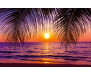 Vliesová fototapeta Beautiful Sunset 3130
