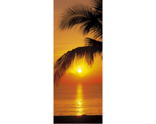 Fototapeta Palmy Beach Sunrise, Východ slunce 2-1255