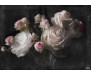 Fototapeta Eternity, Květiny 4-876