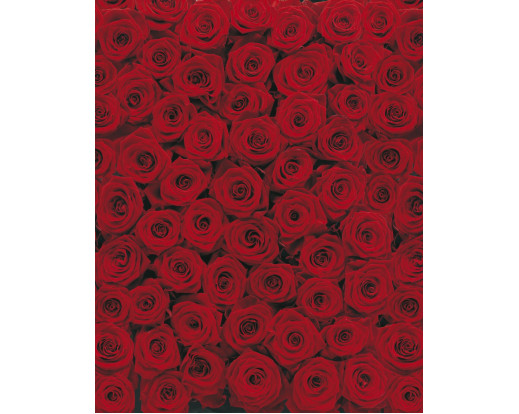 Fototapeta Roses, Růže 4-077