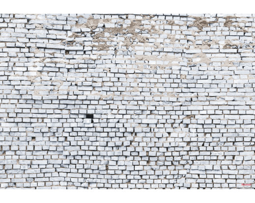 Fototapeta White Brick, Cihlová zeď 8-881