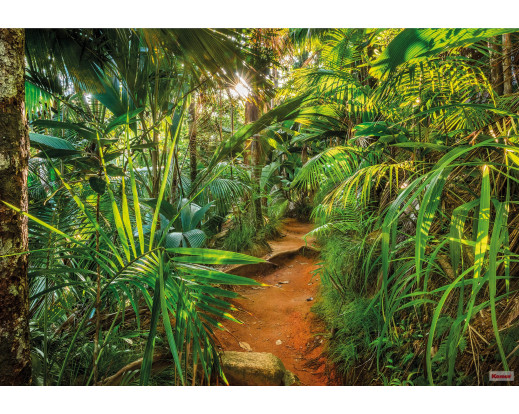 Fototapeta Jungle Trail, Stezka v džungli 8-989