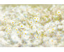 Fototapeta Daisies, Květiny 8-994