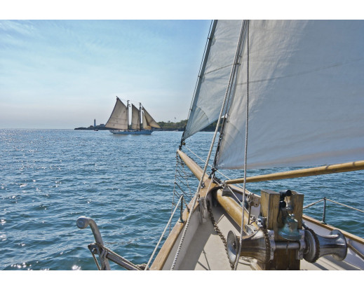 Fototapeta Sailing, Plachetnice 8-526