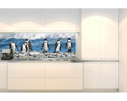 Samolepicí fototapeta k lince Row of penguins