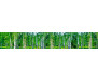 Samolepicí fototapeta k lince Birch Growe, Březový háj