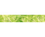Samolepicí fototapeta k lince Leaf Veins, Listy