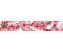 Samolepicí fototapeta k lince Apple Blossom, Jabloňový květ