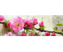 Samolepicí fototapeta k lince Sakura, Květ
