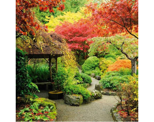 Samolepicí fototapeta na podlahu Japanese garden, Japonská zahrada