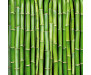 Samolepicí fototapeta na podlahu Bamboo, Bambus