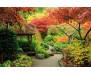 Samolepicí fototapeta na podlahu Japanese garden, Japonská zahrada
