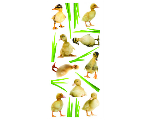 Samolepka Ducklings 60452 Housata
