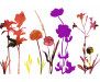 Samolepka Barevné květiny 350-0173