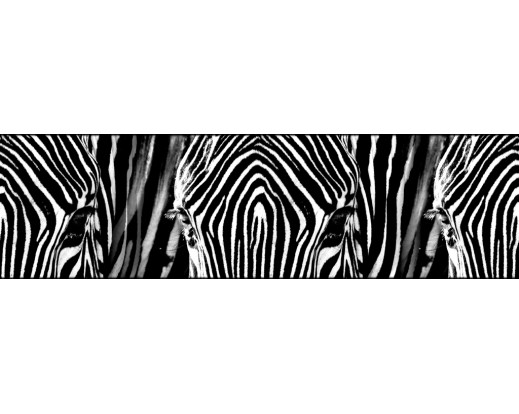 Samolepicí bordura Zebra WB 8205